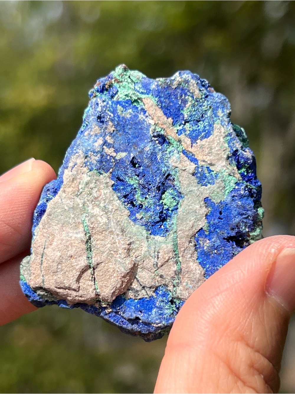 Azurite (2) specimen with stand | crystal
